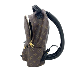 Louis Vuitton Palm Springs PM Backpack Monogram Canvas