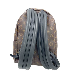 Louis Vuitton Palm Springs PM Backpack Monogram Canvas
